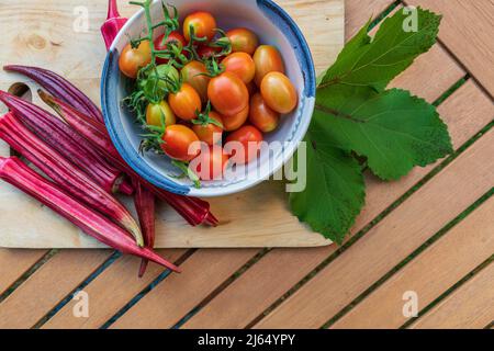 Frisch geerntete Jing-Orangen-Okra-Schoten und Traubentomaten lagen flach auf einem Tisch im Freien. Stockfoto