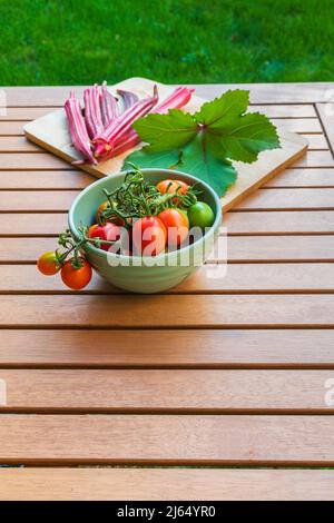 Frisch gepflückte Okra, eine Grundnahrungsmittel in der südlichen Küche wie Gumbo und Grappoli d’Inverno Tomaten, gesunde Ernährung im Freien. Vertikale Ansicht. Stockfoto