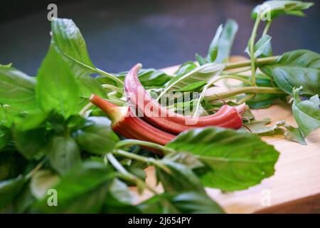 Frisch geerntetes Gemüse und Kräuter aus biologischem Anbau, Jing-Orangen-Okra-Schoten, Abelmoschus esculentus, auch Damenfinger genannt, und frisches Basilikum Stockfoto