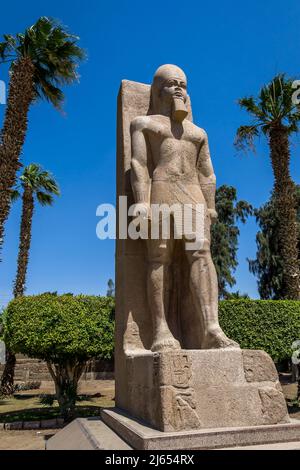 Skulptur aus dem Reich der Mitte, restauriert im Namen von Ramses II., ausgestellt im historischen Freilichtmuseum von Memphis, der alten ägyptischen Hauptstadt Stockfoto