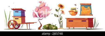 Set von Bienenhaus und Honig Produktion Artikel, Pflanzen und Ausrüstung. Isolierte Bienenstöcke, Glas, blühenden Baum, Sonnenblumen und Waben in Holzrahmen, isolierte Cartoon-Vektor-Illustration, Symbole Stock Vektor