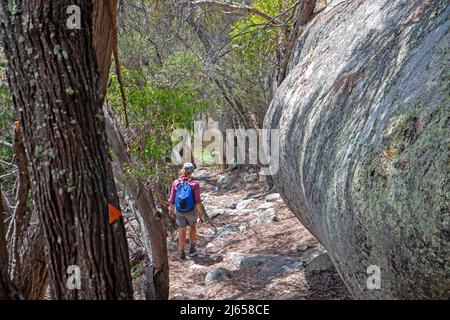 Wanderer auf den Hängen der Strzelecki-Gipfel Stockfoto