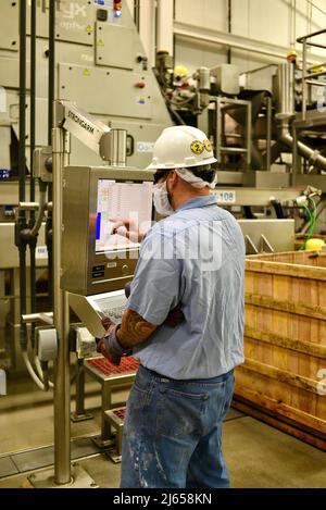 Verarbeitung von Preiselbeeren in der modernen und hochmodernen Ocean Spray-Anlage in Wisconsin Rapids, Wisconsin, USA Stockfoto