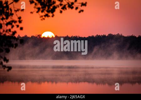 Hannover, Deutschland. 28. April 2022. Die Sonne geht über dem Altwarmbüchensee auf, während Bodennebel über die Wasseroberfläche driftet. Quelle: Moritz Frankenberg/dpa/Alamy Live News Stockfoto