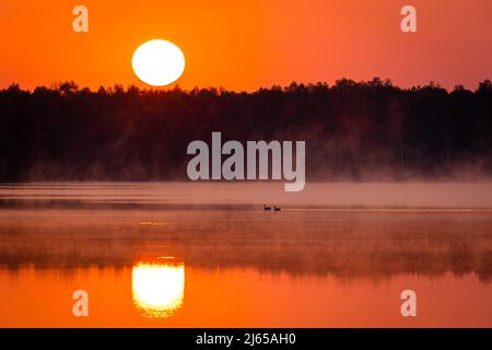 Hannover, Deutschland. 28. April 2022. Die Sonne geht über dem Altwarmbüchensee auf, während Bodennebel über die Wasseroberfläche driftet. Quelle: Moritz Frankenberg/dpa/Alamy Live News Stockfoto