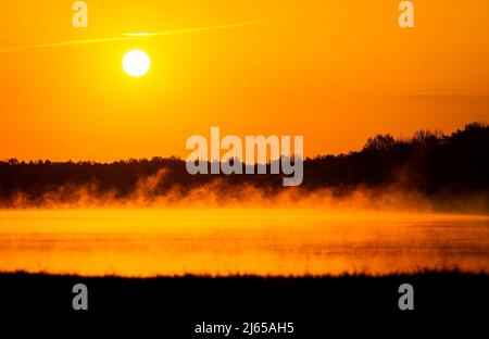 Hannover, Deutschland. 28. April 2022. Die Sonne geht über dem Altwarmbüchensee auf, während Bodennebel über die Wasseroberfläche driftet. Quelle: Moritz Frankenberg/dpa/Alamy Live News Stockfoto