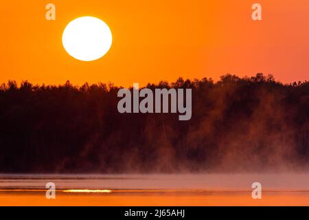 Hannover, Deutschland. 28. April 2022. Die Sonne geht über dem Altwarmbüchensee auf, während Bodennebel über die Wasseroberfläche driftet. Quelle: Moritz Frankenberg/dpa/Alamy Live News Stockfoto