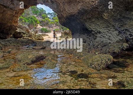 Stackys Bight in Killiecrankie Bay, Flinders Island Stockfoto