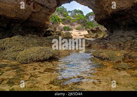 Stackys Bight in Killiecrankie Bay, Flinders Island Stockfoto