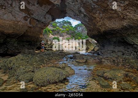 Stackys Bight in Killiecrankie Bay, Flinders Island Stockfoto