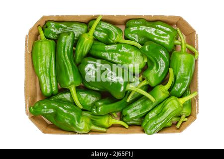 Rohe Padron-Paprika, auch Herbon-Paprika genannt, in einem Pappkarton. Sorte von Capsicum annuum aus der Gemeinde Padron im Nordwesten Spaniens. Stockfoto