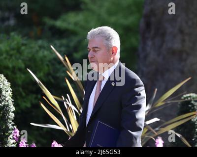 London, Großbritannien, 26.. April 2022. Der nordirische Minister Brandon Lewis kommt zur wöchentlichen Kabinettssitzung in der Downing Street Nr. 10. Stockfoto