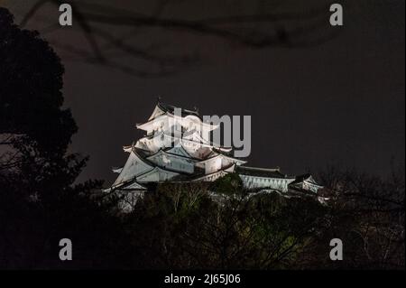 Himeji, Japan - 7. Januar 2020. Nachtaufnahme des Schlosses Himeji in Japan. Himeji ist eine der wenigen verbliebenen traditionell erbauten japanischen Burgen. Es ist eine große Touristenattraktion. Stockfoto