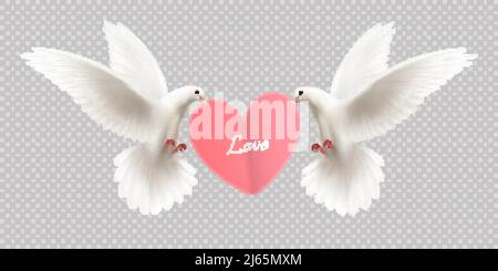 Love Design Konzept mit zwei weißen Tauben halten Herz in Sein Schnabel auf transparentem Hintergrund realistische Vektor-Illustration Stock Vektor