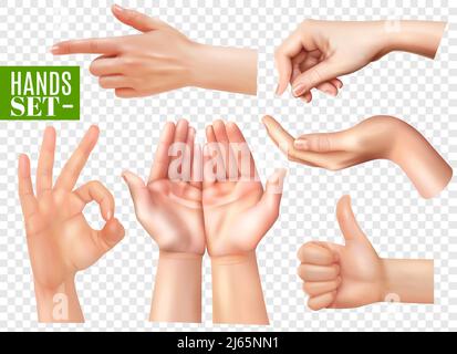 Menschliche Hände Gesten realistische Bilder mit Zeigefinger gesetzt ok sign Thumb up Transparente Hintergrund Vektor-Illustration Stock Vektor