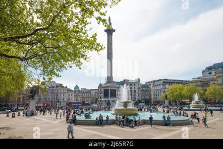 Die Nelsons Column steht über den Menschen und genießt einen warmen, sonnigen Frühlingstag auf dem Trafalgar Square. London, England, Großbritannien Stockfoto