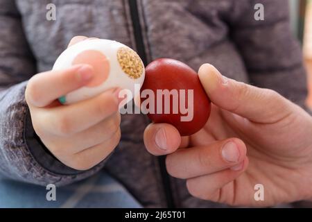 Hände klopfen Ostern bunte Eier. Traditionelle Eierschlacht Spiel feiert Frühling religiösen Feiertagen. Nahaufnahme, selektiver Fokus Stockfoto