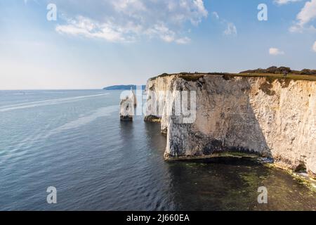 Old Harry Rocks in der Nähe von Studland in Dorset. Englische Touristenattraktion. Weiße Klippen an sonnigen Tagen Stockfoto