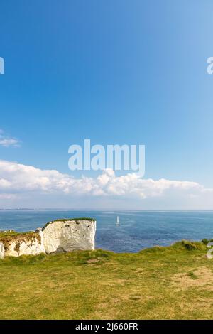 Old Harry Rocks in der Nähe von Studland in Dorset. Englische Touristenattraktion. Weiße Klippen an sonnigen Tagen Stockfoto