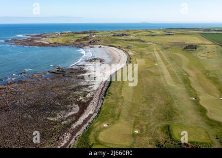 Luftaufnahme von Balcomie Links, Crail Golf Society, Crail, Schottland Stockfoto