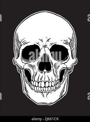Anatomischer Menschlicher Schädel. Vektorgrafik handgezeichnete Illustration Stock Vektor