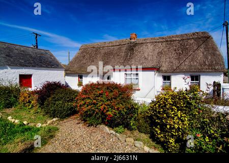 Reetgedeckte Hütte, Kilmore Quay, County Wexford, Irland Stockfoto