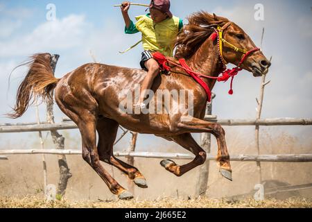 Sumbawa Besar, Indonesien - 16. September 2017: Pferderennen in Sumbawa Besar, Indonesien. Stockfoto