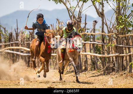 Sumbawa Besar, Indonesien - 16. September 2017: Pferderennen in Sumbawa Besar, Indonesien. Stockfoto