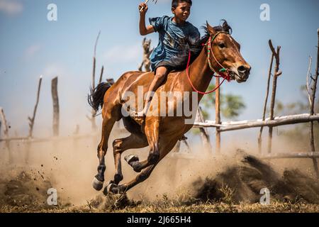 Sumbawa Besar, Indonesien - 16. September 2017: Pferderennen in Sumbawa Besar, Indonesien. Stockfoto