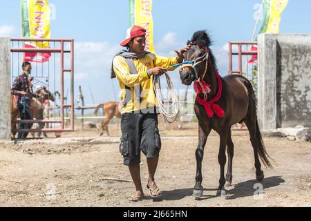 Sumbawa Besar, Indonesien - 16. September 2017: Pferderennen in Sumbawa Besar, Indonesien. Stockfoto