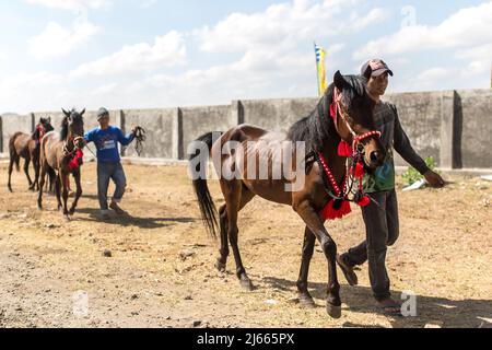 Sumbawa Besar, Indonesien - 16. September 2017: Pferderennen in Sumbawa Besar, Indonesien. Stockfoto