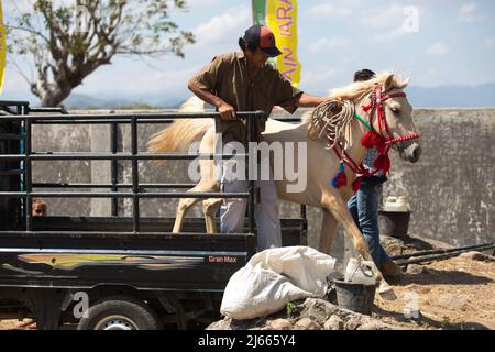 Sumbawa Besar, Indonesien - 16. September 2017: Pferderennen in Sumbawa Besar, Indonesien. Stockfoto