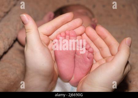 Die Beine eines zwei Wochen alten Babys liegen in den Händen einer Mutter. Die Handflächen einer Frau und die Füße eines Kindes, die Liebe und Fürsorge der Eltern. Stockfoto