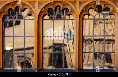 Fenster im inneren Viereck der Bodleian Library in Oxford, Großbritannien; die Hauptbibliothek der Universität Oxford, verzerrte Spiegelungen der gegenüberliegenden Wand Stockfoto