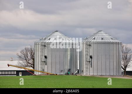 Silos zur Lagerung der Getreideernte. Konzept der Landwirtschaft und Industrie Stockfoto