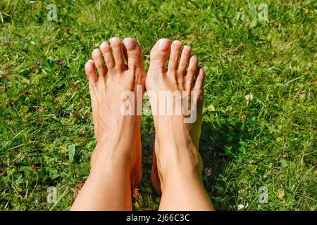 Frauenfuesse auf Wiese, Zehen, Fussnaegel, schmale und gepflegte Fuesse, Europaerin, Deutschland Stockfoto