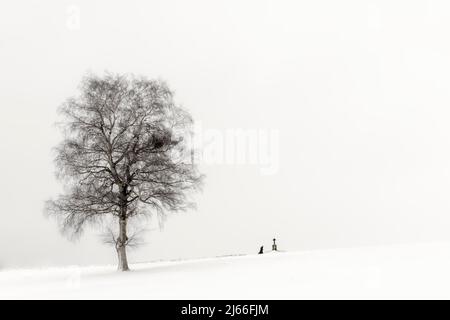 Gleiche Frau knieend an Marterl mit Baum in Winterlandschaft, schwarz, Kaufbeuren, Ostallgäu, Bayern, Deutschland Stockfoto