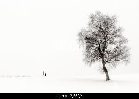 Gleiche Frau knieend an Marterl mit Baum in Winterlandschaft, schwarz, Kaufbeuren, Ostallgäu, Bayern, Deutschland Stockfoto