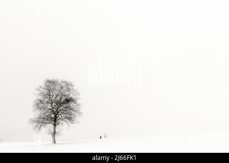 Gleiche Frau knieend an Marterl mit Baum in Winterlandschaft, schwarz, Kaufbeuren, Ostallgäu, Bayern, Deutschland Stockfoto