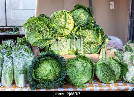 Grüne frische Kraut der neuen Ernte bereit zum Verkauf an der Farmers Market Stockfoto