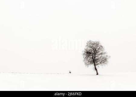 Gleiche Frau knieend an Marterl mit Baum in Winterlandschaft, schwarz, Kaufbeuren, Ostallgäu, Bayern, Deutschland Stockfoto