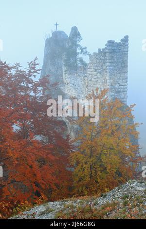Ruine gebrochen Gutenstein im Nebel, Fels, Mischwald in Herbstfaerbung, Buchengeweechse (Fagaceae), Inzigkofen, Gutenstein, Naturpark Obere Donau Stockfoto