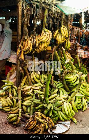 Bananen im Darajani Markt, groesster Markt von Sansibar, Stone Town, UNESCO Weltkulturerbe, Unguja, Sansibar, Tansania Stockfoto