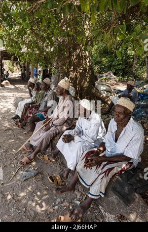 Dorfaelteste, alte Maenner sitzen unter Baum, Tumbatu, Sansibar, Tansania Stockfoto