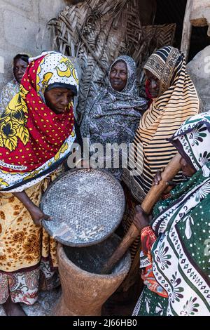 Frauen stampfen Taromehl mit grossem Moerser aus Holz, Tumgatu, Sansibar, Tansania Stockfoto