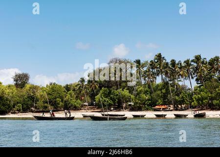 Strand von Tumgatu, Sansibar, Tansania Stockfoto