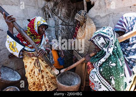 Frauen stampfen Taromehl mit grossem Moerser aus Holz, Tumgatu, Sansibar, Tansania Stockfoto