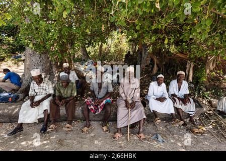 Dorfaelteste, alte Maenner sitzen unter Baum, Tumbatu, Sansibar, Tansania Stockfoto