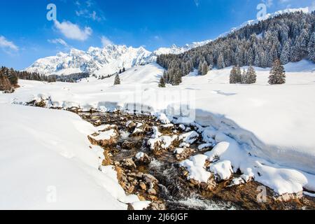 Blick von Lutertannen mit Bachlauf Luteren im Vordergrund und dem tief verschneite Alpsteinmassiv mit Saentis im Hintergrund, Appenzell, Schweiz Stockfoto