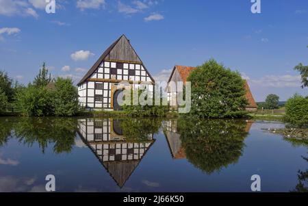 Westfälisches Landesmuseum für Folklore, altes Fachwerkhaus am Teich, Landschaftsverband Westfalen-Lippe, LWL-Freilichtmuseum, Detmold Stockfoto